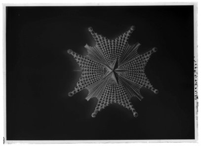 Nordstjärneorden storkorskraschan - Livrustkammaren - 26232-negative