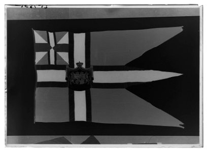 Norsk kunglig flagga med svensk-norska riksvapnet och det senare unionsmärket (1844-1905) - Livrustkammaren - 18501-negative