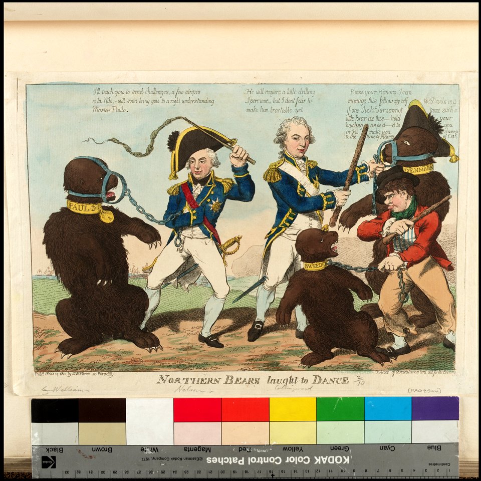 Northern Bears taught to Dance (caricature) RMG PX8546