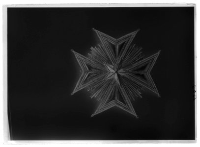 Nordstjärneorden storkorskraschan - Livrustkammaren - 9108-negative