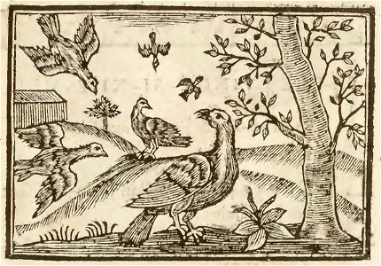 Nouveau syllabaire ingenieux, composé des fables d'Esope, tirées du Labyrinthe de Versailles (page 70 crop)
