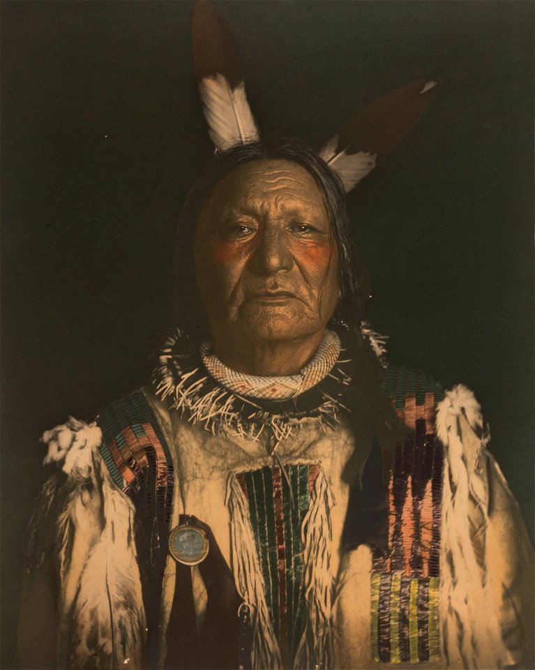 Not Afraid of the Pawnee–Yanktonai Sioux Chief SAAM-1985.66.362151 1