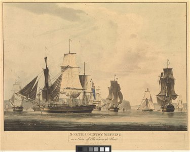 North Country (Merchant) Shipping in a calm off Flamborough Head RMG PW7695