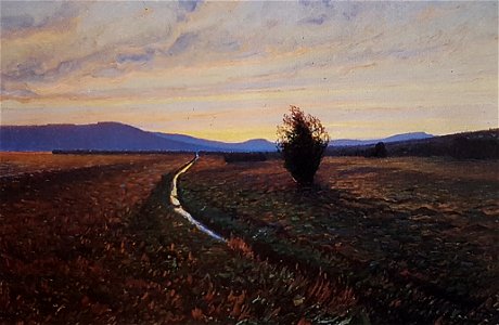 Norrländsk myr x Carl Johansson 1863-1944