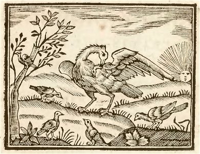 Nouveau syllabaire ingenieux, composé des fables d'Esope, tirées du Labyrinthe de Versailles (page 54 crop)