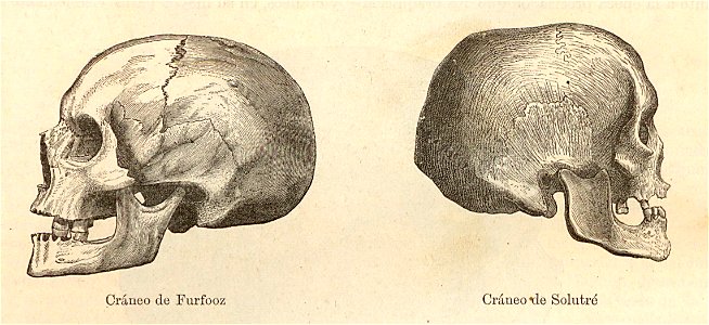 Nueva geografía universal - 1879 011