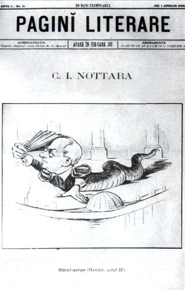 NSPetrescuGaina - CI Nottara