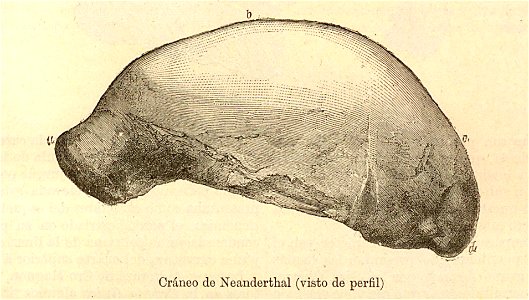 Nueva geografía universal - 1879 007