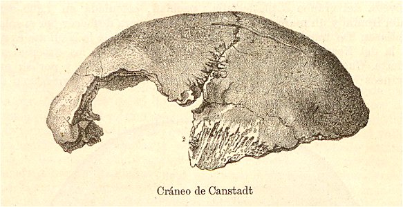Nueva geografía universal - 1879 009