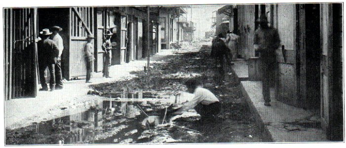 NSRW Bottle Alley (Colon)