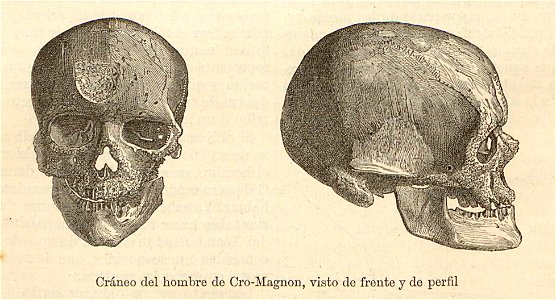 Nueva geografía universal - 1879 008
