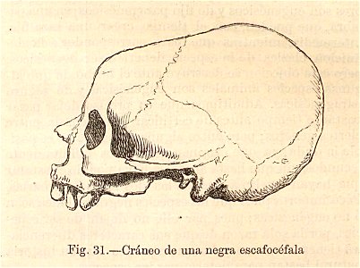 Nueva geografía universal - 1879 051