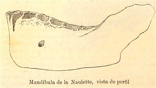 Nueva geografía universal - 1879 006