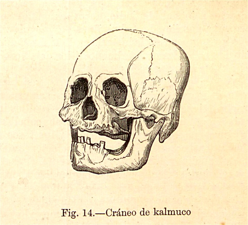 Nueva geografía universal - 1879 033