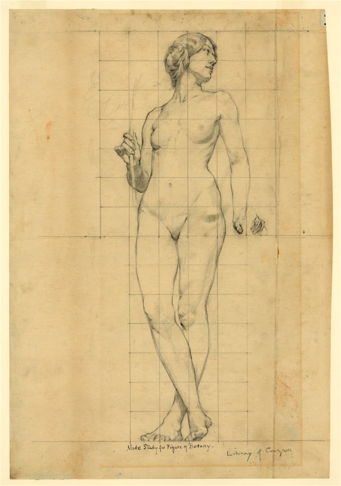 Nude study for figure of Botany Library of Congress LCCN2004662286