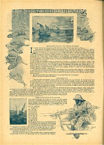 Nuevo Mundo, la pesca del besugo, Dec. 28th 1898, by Mariano Pedrero