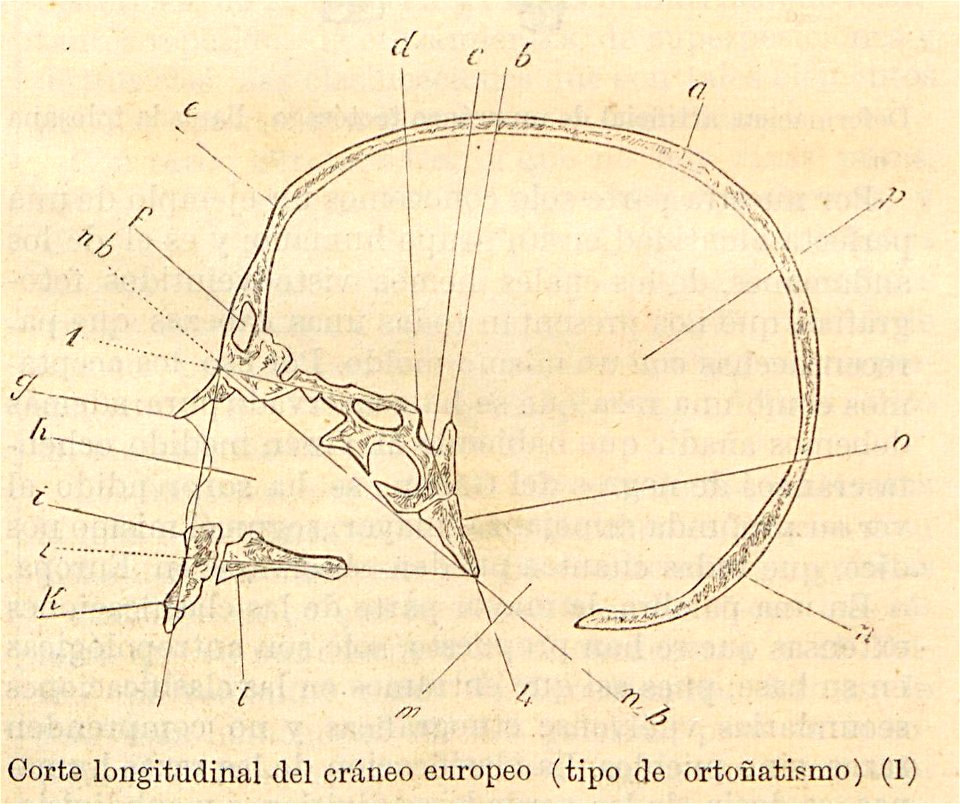 Nueva geografía universal - 1879 013