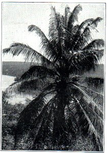 NSRW Chagres River, Fort San Lorenzo