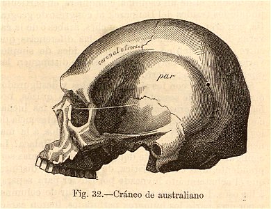 Nueva geografía universal - 1879 052