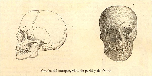Nueva geografía universal - 1879 014