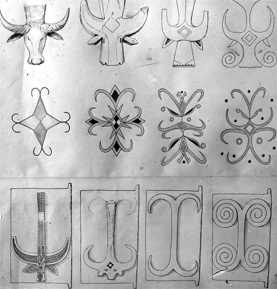 Ornamentik. Schema över buffelhuvudets stilisering. Teckningar av Walter Kaudern. Sulawesi - SMVK - 1594D