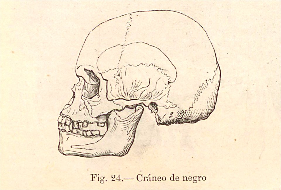 Nueva geografía universal - 1879 044