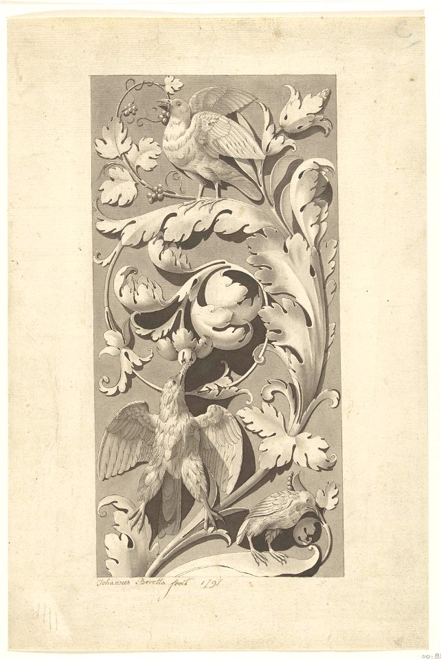 Ornament van bladranken en vogels