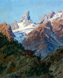Oskar von Kleiner Gämse im Hochgebirge