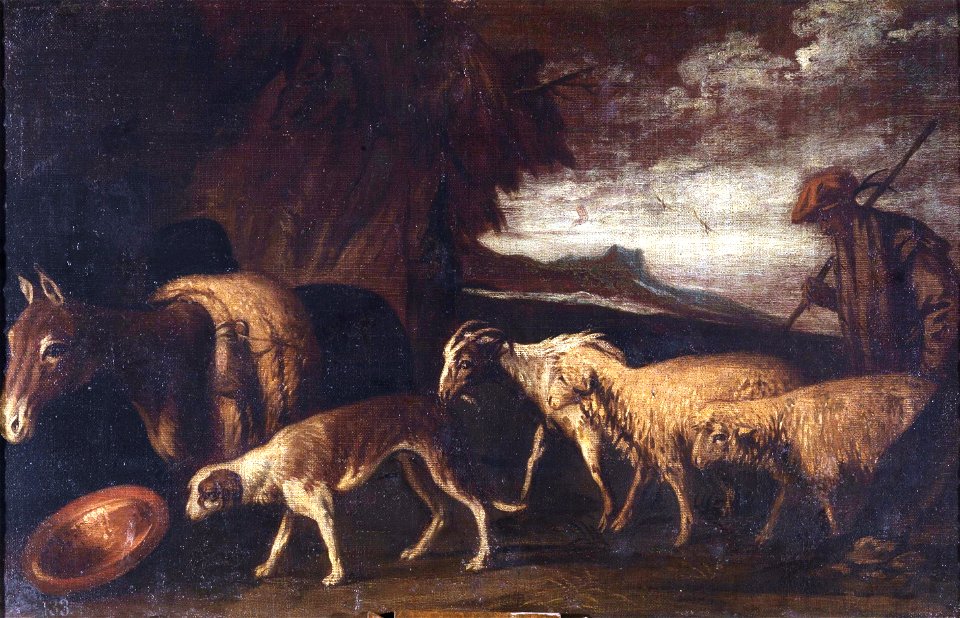 Orrente-aprisco
