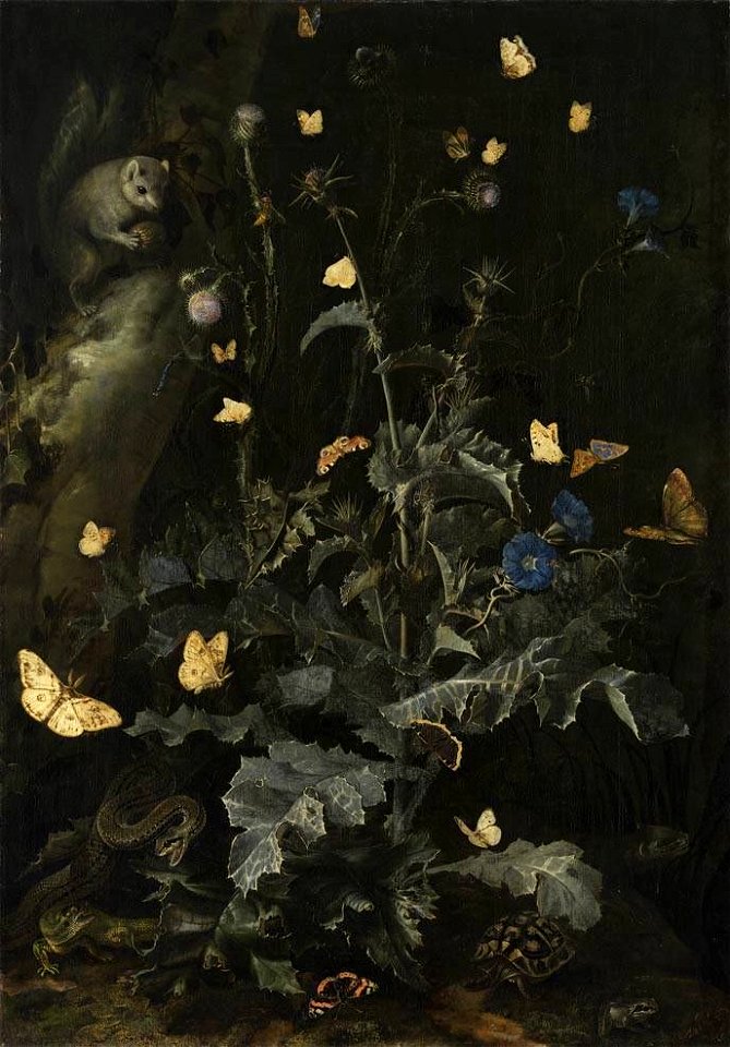 Otto Marseus van Schrieck - Die große Distel - 1966 - Bavarian State Painting Collections