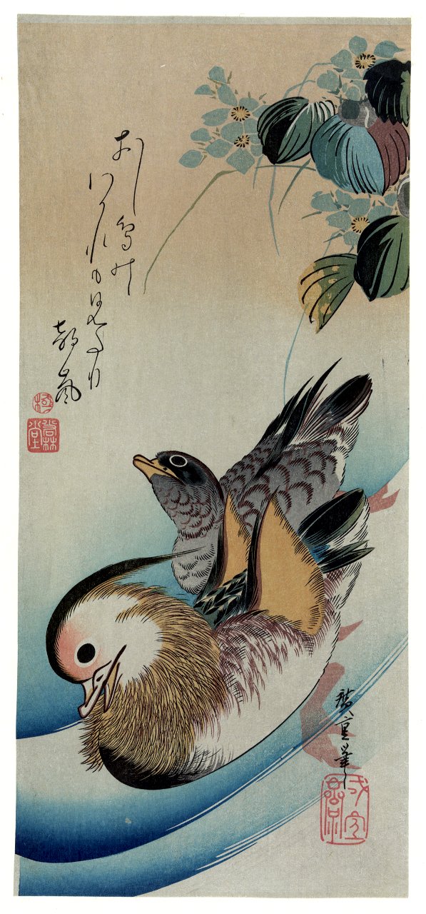 Oshidori
