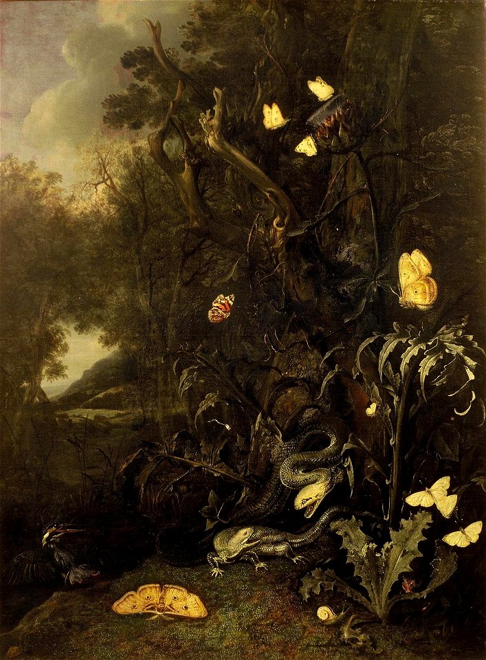 Otto Marseus van Schrieck - Planten en Insekten, 1665
