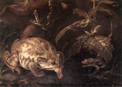 Otto Marseus van Schrieck - Still-Life with Insects and Amphibians (detail) - WGA21063