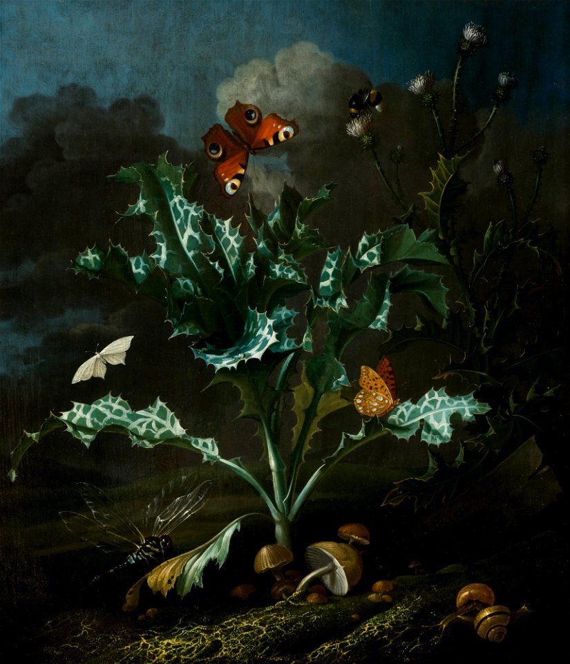 Otto Marseus van Schrieck - Thistles and Butterflies - MNK XII-A-872 - National Museum Kraków