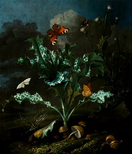 Otto Marseus van Schrieck - Thistles and Butterflies - MNK XII-A-872 - National Museum Kraków