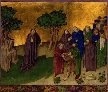 Ottheinrich Folio058r Mc9B