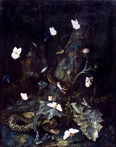 Otto Marseus van Schrieck - Serpents et papillons dans un sous-bois, 1670