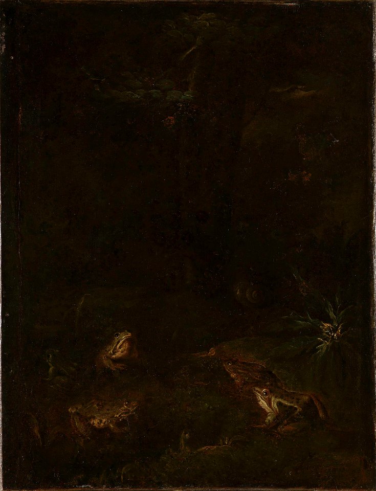 Otto Marseus van Schrieck - Toads and Snails - NG.M.00437 - National Museum of Art, Architecture and Design