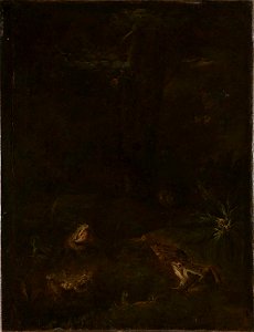 Otto Marseus van Schrieck - Toads and Snails - NG.M.00437 - National Museum of Art, Architecture and Design