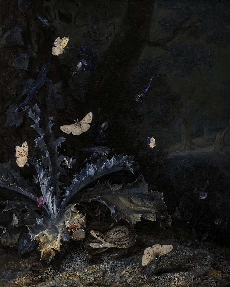 Otto Marseus van Schrieck - Still Life with Thistle and Snake - KMSst276 - Statens Museum for Kunst