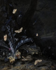 Otto Marseus van Schrieck - Still Life with Thistle and Snake - KMSst276 - Statens Museum for Kunst. Free illustration for personal and commercial use.