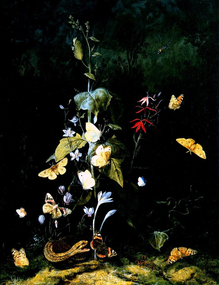 Otto Marseus van Schrieck 002