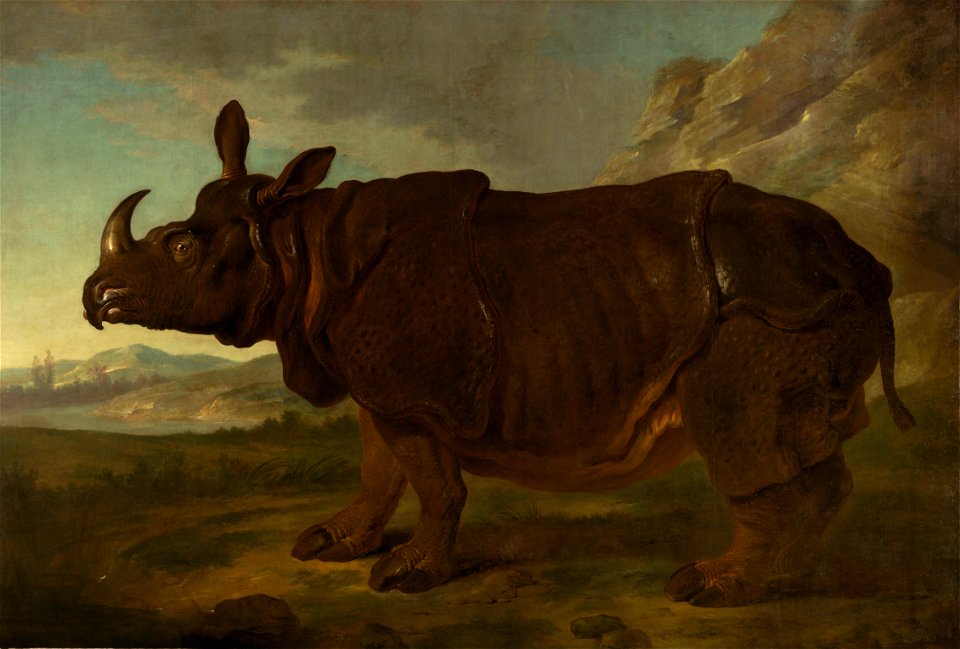 Jean-Baptiste Oudry - Rhinozeros Clara (1749)