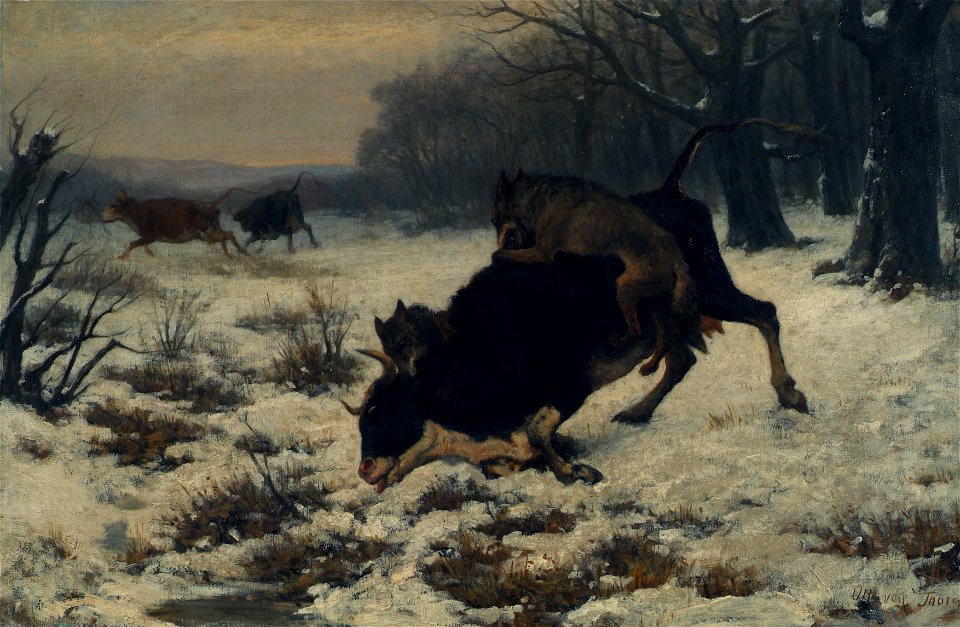 Otto von Thoren - Eine Kuh wird von Wölfen angefallen - 3741 - Kunsthistorisches Museum