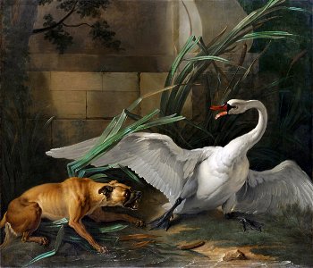 OUDRY Swan attacked by a dogFXD