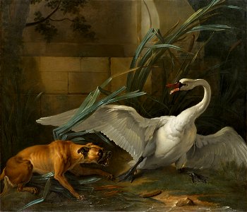 OUDRY Swan attacked by a dog