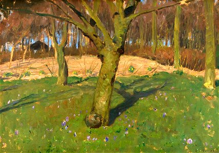Fritz Overbeck - Krokuswiese (1906)