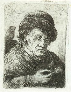 Oude man met papegaai