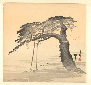 Oude pijnboom-Rijksmuseum RP-P-1977-400