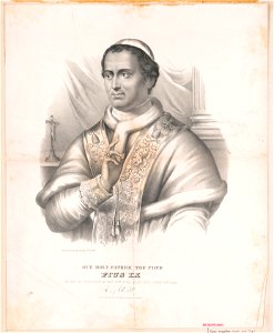Our holy father the Pope Pius IX LCCN2003674320
